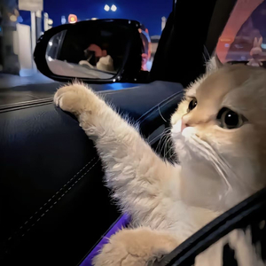 微信看片黄群免费
